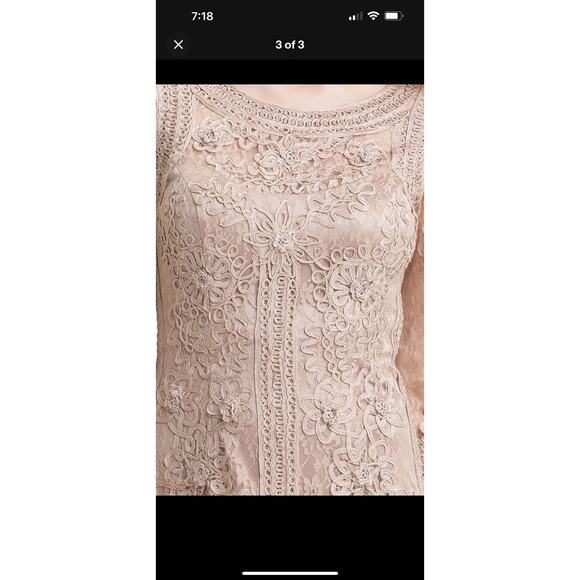 Sue Wong Nocturne Ribbon Lace Illusion Bodice Beige Dress 0 Mother of the Bride - Picture 4 of 16